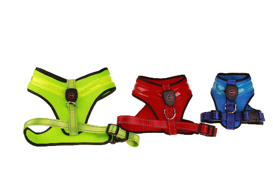 LED Safety Dog Harness