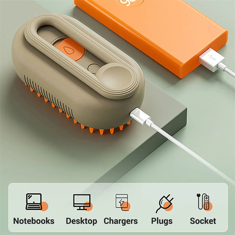 3 in 1 Steam Grooming Brush