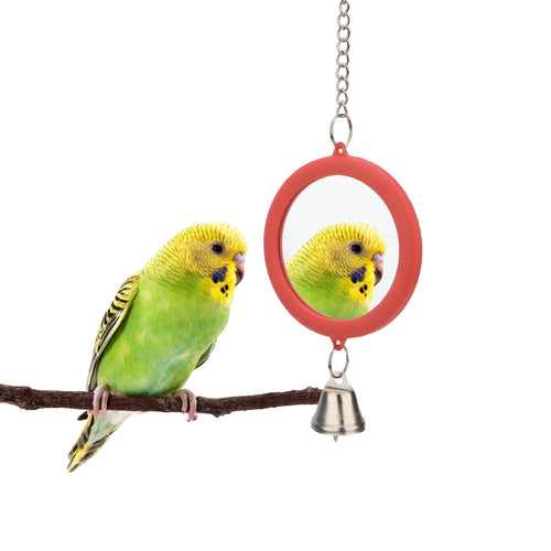 Bird Bell With Mirror